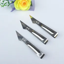 Creative stainless steel hair remover multi-function chicken hair clamp pig pliers dead angle scraper kitchen gadget wholesale