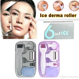 Tamax 6in1 Derma Roller Kits Micro Agulha 0.5 / 1.0 / 1.5 / 2.0mm com carimbo derma agulhas e kits de escova de rosto