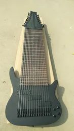 Skräddarsydda strängar Dark Black Color Electric Guitar 15 Strings China Bass