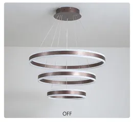 Basit Modern LED Daire Avize Modern Aydınlatma Restoran Akrilik Yüzükler Kolye Asılı Işıkları Parlaklık Lambaları Oturma Odası 40 cm 60 cm 80 cm