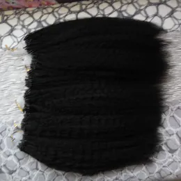 Kinky Straight Brazilian Hair Micro Loop Ring Hair Extensions 1g/strand 100g Coarse Yaki Micro Bead Link Human Hair Extensions Colored