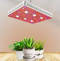 Yüksek Kalite 3000W 2000W 1000w Tam Spektrum LED büyümek Açık Kırmızı / Mavi / Beyaz / UV / IR AC85 ~ 265V COB Led Bitki Lambaları