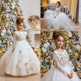 2020の王女の花の女の子の結婚式のレースのアップリケジュエルネック長袖かわいい女の子のページェントドレス子供拝領服ドレスAL5082