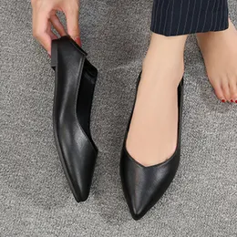 Женские туфли Женщины работают черные две носят плоские плоские одет