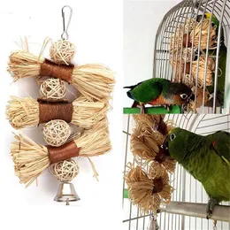 Natural Chews Toy for Pet Bird Parrot Macaw African Grey Budgie Parakeet Cockatiels Conure Lovebird Bites Swing Cages Toys