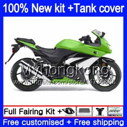 + KAWASAKI EX250 ZX250R EX250R ZX250R EX250 주식 탱크 녹색 201MY.101 EX 250 ZX 250R 2009 2010 2011 2012 페어링 08 09 10 11 12 2008