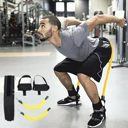 Sunsign resistance bands 2025