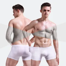 Fashion-Men Boxer Shorts Sexiga Underkläder Is Silk Man Panties Plus Size Cueca Masculina Hombre Slips Män Penis Pouch 4PCS \ Lot Boxers