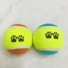 Beeztees Lanceur de Balle Fetch, Chiens, Acheter