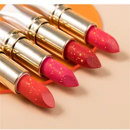 2020 new matte Lipstick Makeup Luster Retro Lipsticks Frost Sexy Matte Lipsticks 7 colors lipsticks with