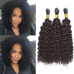 Afro Human Hair Bulks No Weft Brazilian Kinky Curly Hair Bulk for Braiding
