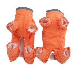 Pas Cher Vetements Pour Chats Males Achetez Des Produits En Gros Du Canada En Ligne Depuis La Chine Dhgate Com France Pas Cher Vetements Pour Chats Males Achetez Des Produits En Gros Du Canada En Ligne Depuis La Chine Dhgate Com France