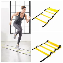 exercise ladders for sale