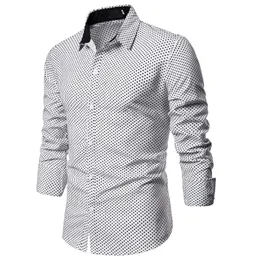 nice dress shirts for ladies