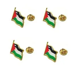 Lot De 10 épingles Drapeau Palestine - 5 Styles Différents, Métal émaillé, Attache Papillon - Pour Vêtements, Sacs, Chapeaux