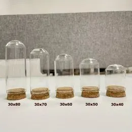 Tout savoir sur les terrariums : types, entretien, arrosage... - Veìr Magazine Tout savoir sur les terrariums : types, entretien, arrosage... - Veìr Magazine