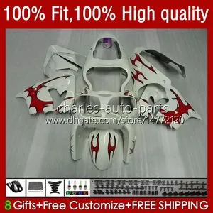 OEM Red Flames Injection White Mold sky bodywork for