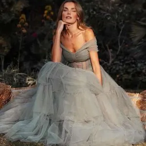 DHgate.com:Grey Off-Shoulder Lace Tulle Evening Prom Dress