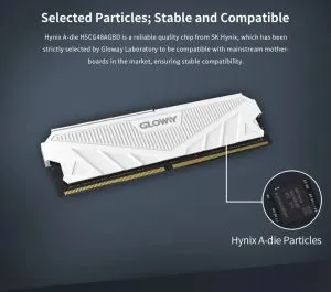 Gloway DDR5 Desktop Memory RAM 32GB 16GBx2 4800MHz Dual Channel