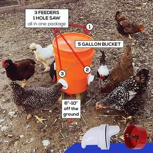 Chicken Water Heater Chicken Waterer Heater,14 Inch Heated Chicken