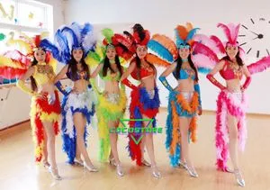 Brazilian Dancer Ostrich Hair Combo Foramba Carnival Stage Shows And Dance Performances Feathers Ruffled Dance Costume Set From Homepro4 140.83 DHgate.Com