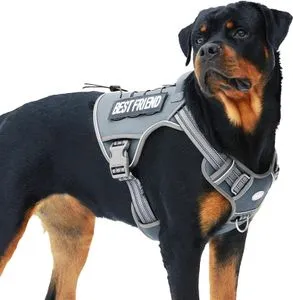 Understanding No-Pull Dog Harnesses: A Simple Guide for Pet Owners