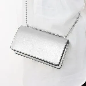 Wallet body bag／silver mini-crossbody-bag-in-silver-