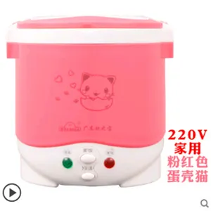 FreeShipping 1L rice cooker used in house 110v to 220v or car 12v to 24v enough for two persons with English Instructions