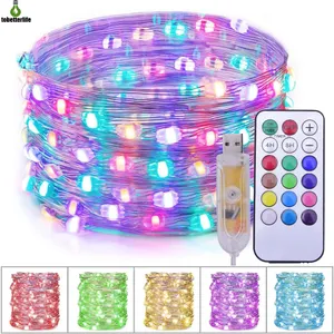 10M 20M 100LED 200LED RGB Fairy String Lights USB Remote Control LED Copper Wire Pixel For Party Christmas