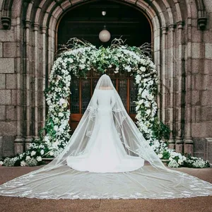 New Fashion 5 M Cathedral Length Bridal Veils with Appliques Edge Long Ivory Wedding Veil Vestido De Noiva Dress Accessories