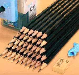 Set Matite Da Disegno H&B - 35 Pezzi Professionali | Per Artisti, Principianti E Studenti - Foto 3