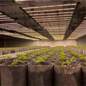 2021 LED grow lights using newest Sundopt LM281b for indoor plants growing flower stage Seeds Vegetative Germination