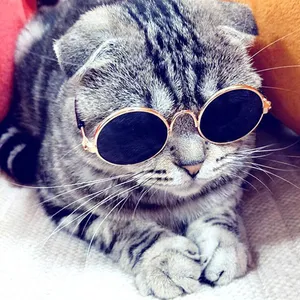 Other Cat Supplies Products Lovely Vintage Round Cat Sunglasses Reflection Eye wear glasses For Small Dog Photos Props Accessories