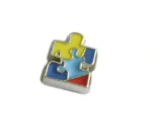 20PCS lot Autism Awareness Floating Locket Charms Fit For Living Glass Magnetic Memory Locket Fashion Jewelry