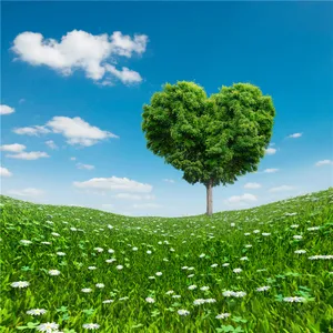Love Heart-shaped Tree Valentines Day Backdrops Blue Sky Clouds Green Grassland White Flowers Spring Scenic Wedding Photography Backgrounds