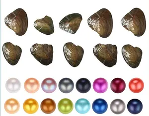 Fancy Gift Akoya pearl High quality cheap love freshwater shell pearl oyster 6-7mm mixed colors pearl oyster with vacuum packaging good