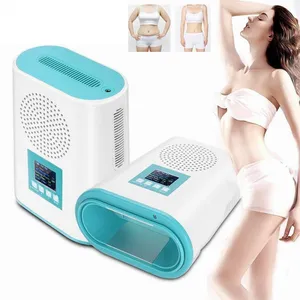 2020 portable MINI Cool Tech Cryolipolysis Fat Freezing Slimming Machine Vacuum weight loss cryotherapy cryo fat freeze machine home use