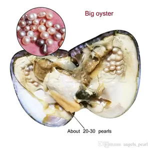 2020 DIY Big Oyster Pearl aquaculture 20-30 pcs pearls Wholesale Individually Vacuum Packed Cultured Fresh Oyster Pearl Farm Supply