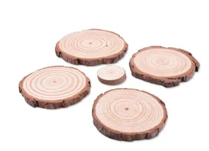 6 Dischi Di Legno Naturale Per Fai Da Te – 16-17 Cm, Rotondi, Levigati, Per Sottobicchieri E Decorazioni Rustiche