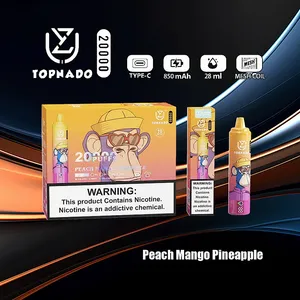 elfbar wieder aufladen kaufen RandM Tornado 12000 Vape Testbericht: Ein umfassender Leitfaden main image 1