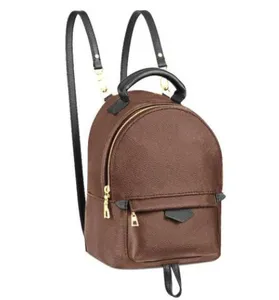 dhgate palm springs backpack mini LOUIS VUITTON Monogram Canvas Brown Top handle and two detachable adjustable leather backpack straps with clip attachments Louis Vuitton Palm Springs Mini