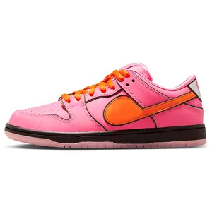 dhgate nike dunk low