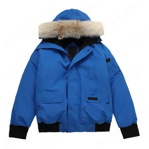 Puffer jackets voor Heren in de nieuwe collectie Puffer jackets voor Heren in de nieuwe collectie