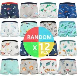 Anntry Boxers Garçons Dinosaure Lot De 6 - Slips Coton Tout-Petits 2 à 9 Ans