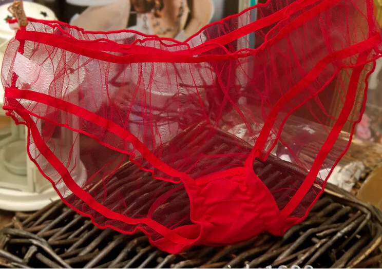 Women Ladies Sexy Transparent Underwear Mesh See Through Panties Briefs  Knickers