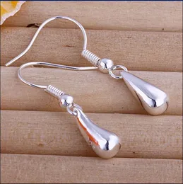 Hot new fashion 925 Silver Earrings Ladies Accessories Free shipping 20pair lot
