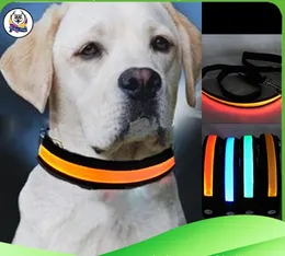 newest pet dog safety collar led lightup flashing glow in the dark necklace collars free