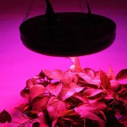 US bestückte Black UFO LED wachsen Licht 90W, Super-Ernte 45X3W volle Spektrum geführte Anlage wachsen Wasserkulturlampen für Weinbausystem