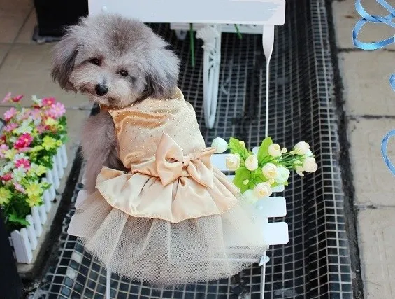 Wedding Apparel For Dogs, Animal Party Accessories:... From Jessie06,  $101.31 | DHgate.Com