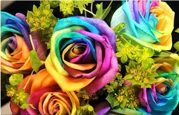 300 graines Rare Holland Rainbow Rose Graine De Fleurs À Votre Amant Chinois Rose